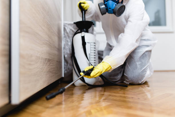 Best Mosquito Control Services  in Spearman, TX
