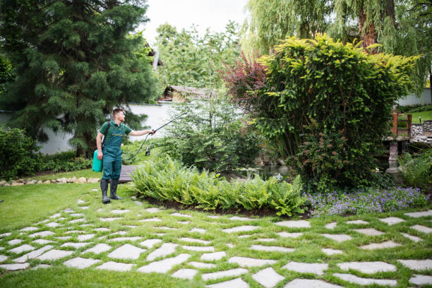 Best Best Pest Control Companies  in Spearman, TX