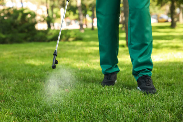 Best Wildlife Control Services  in Spearman, TX