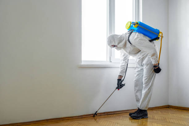 Best Affordable Pest Control Services  in Spearman, TX