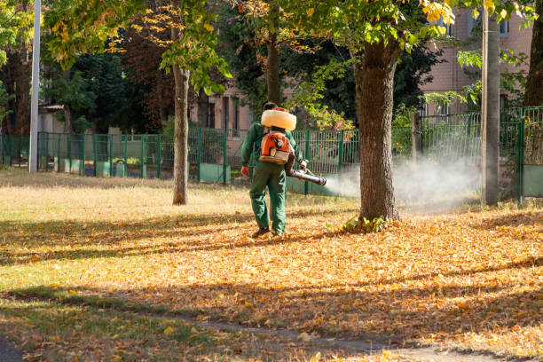 Best Affordable Pest Control Services  in Spearman, TX