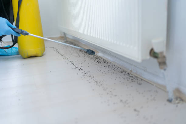 Best Pest Control Near Me  in Spearman, TX