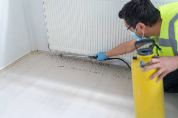 Best Commercial Pest Control Services  in Spearman, TX