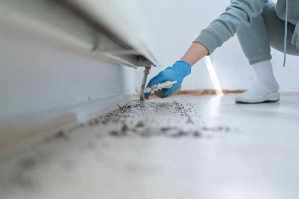 Best Cockroach Control Services  in Spearman, TX